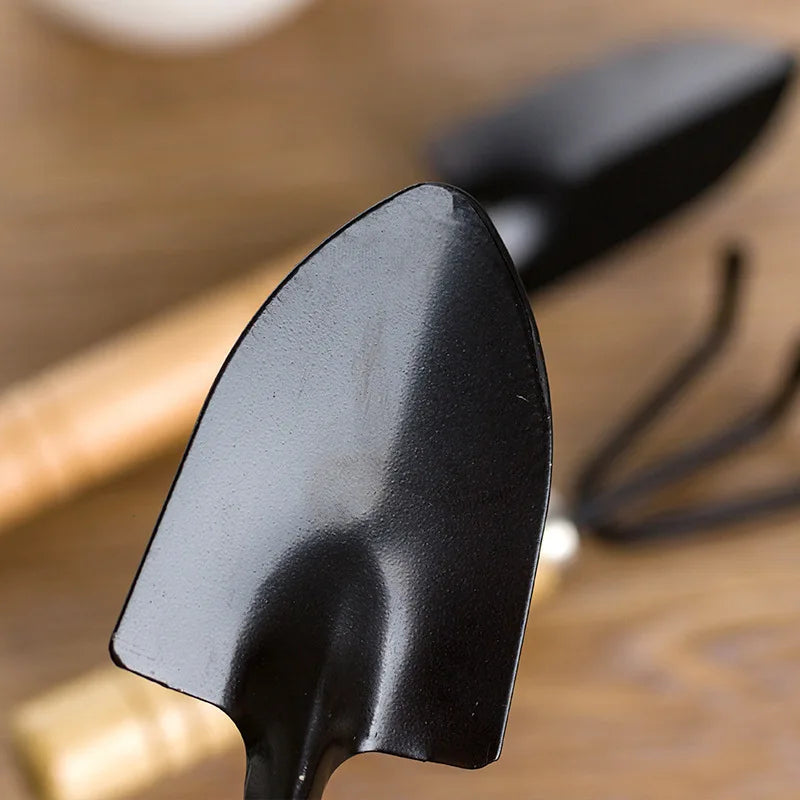 Premium 3-Piece Gardening Tool Set for Home Gardeners