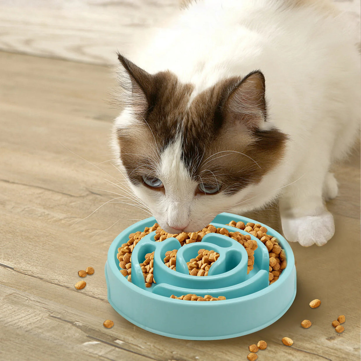 Pet Slow Feeder Bowl – Non-Slip Durable Feeding Dish