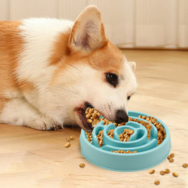 Pet Slow Feeder Bowl – Non-Slip Durable Feeding Dish